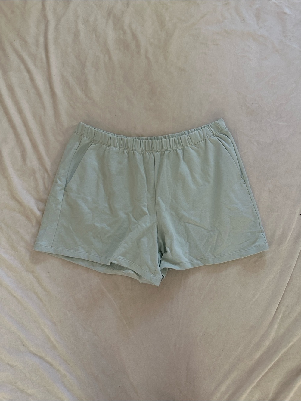 Patagonia light blue shorts